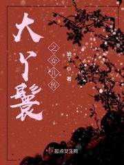 大丫鬟所有人物简介