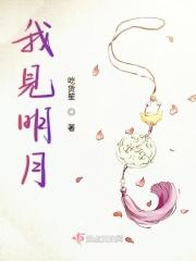 我见明月多皎皎TXT