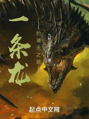 一条龙的解释 一条龙的解释