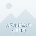 江湖锦衣百度百科