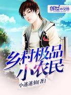 乡村极品小农仙
