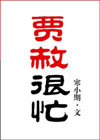 贾赦很忙txt盘资源 贾赦很忙txt盘资源