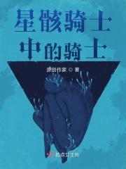 星骸骑士02