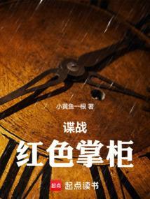 谍战红色掌柜 作者小黄鱼一根