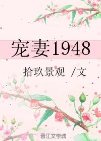 宠妻gl免费