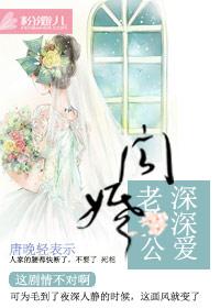 闪婚矫情 闪婚矫情