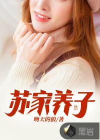 苏家养子苏灏书评