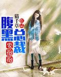 腹黑总裁要抱抱穿书
