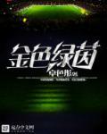 金色绿茵起点 金色绿茵起点