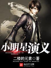 小明星演义全本 小明星演义全本