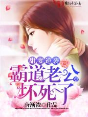 总裁的替身情人苏淮