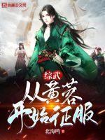 综武从黄蓉开始征服 综武从黄蓉开始征服