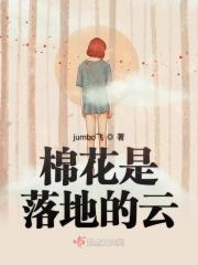 有关事务所类的 有关事务所类的