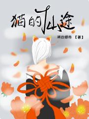 猫的仙途 猫的仙途