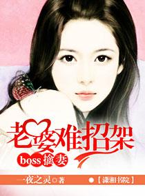 阔少擒妻之老婆难招架 阔少擒妻之老婆难招架