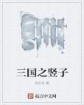 三国之竖子 三国之竖子