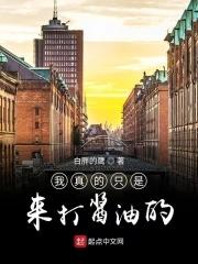 我真的只是来打酱油的 我真的只是来打酱油的